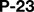 P-23 - Home